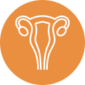 uterus (1)